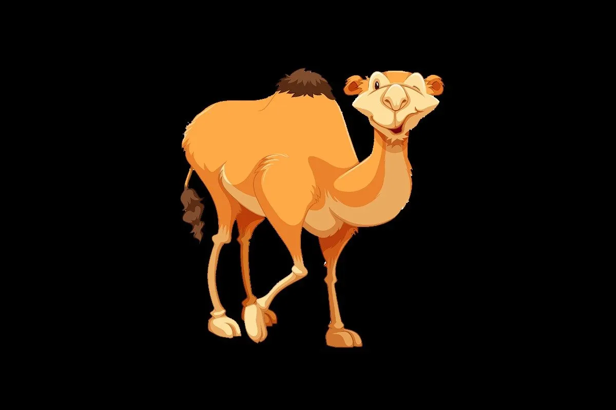 Camel